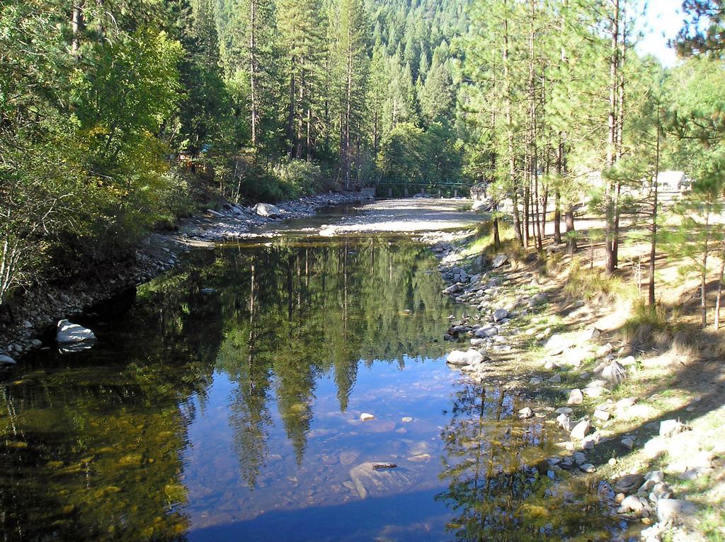 Yosemite Lakes Cabin 37 Harden Flat Exterior foto